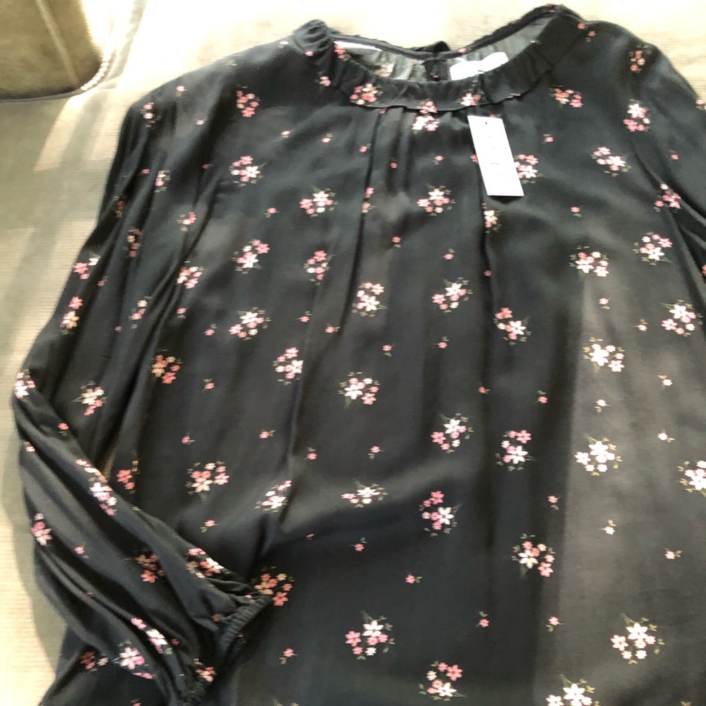 NWT Velvet by Graham and Spencer black blouse